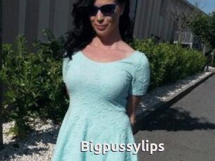 Bigpussylips