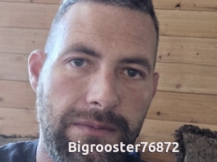 Bigrooster76872