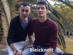 Bleicknort