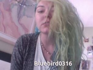 Bluebird0316