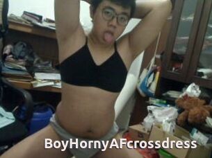 BoyHornyAFcrossdress