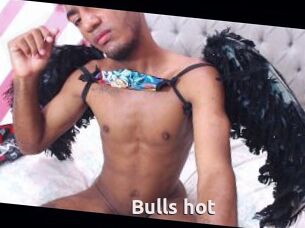 Bulls_hot