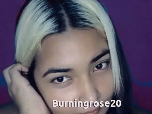 Burningrose20