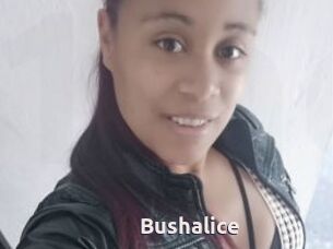 Bushalice