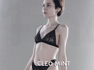 CLEO_MINT