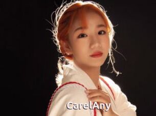 CarelAny