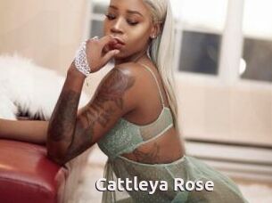 Cattleya_Rose