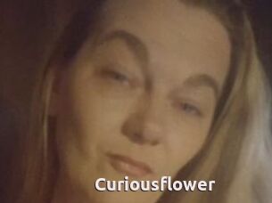 Curiousflower