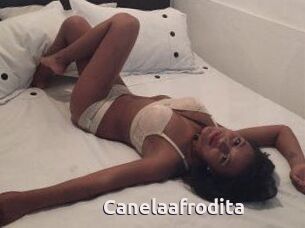 Canelaafrodita