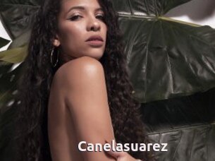Canelasuarez