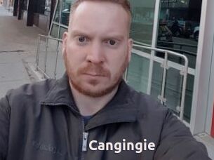 Cangingie