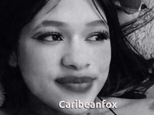Caribeanfox