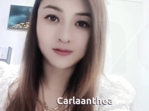 Carlaanthea