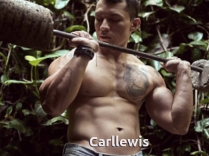 Carllewis