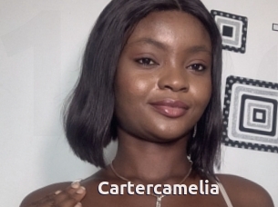 Cartercamelia