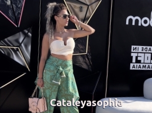 Cataleyasophia