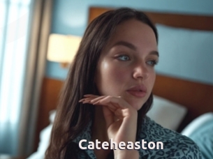 Cateheaston