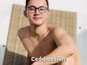 Ceddiecollins