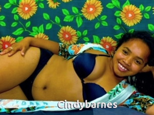 Cindybarnes