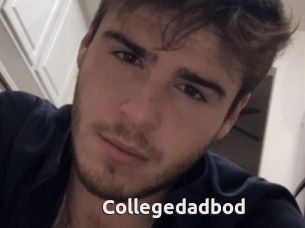 Collegedadbod