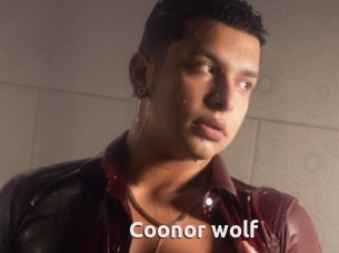 Coonor_wolf