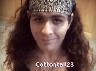 Cottontail28
