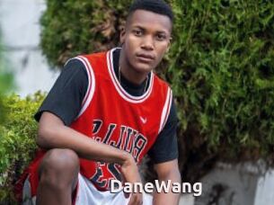 DaneWang