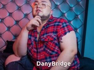 DanyBridge