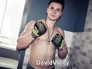 DavidVardy
