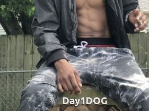 Day1DOG
