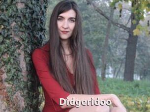Didgeridoo