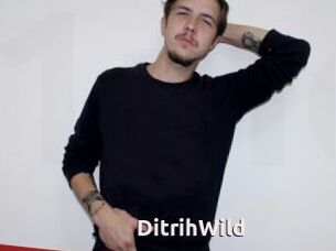 DitrihWild