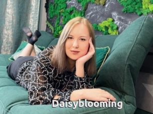Daisyblooming