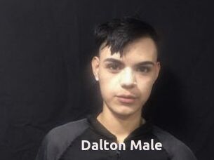 Dalton_Male