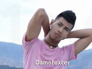 Damnfoxter