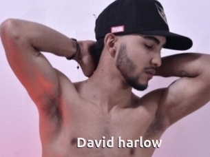 David_harlow