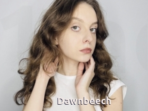 Dawnbeech