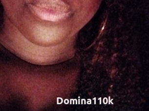 Domina110k