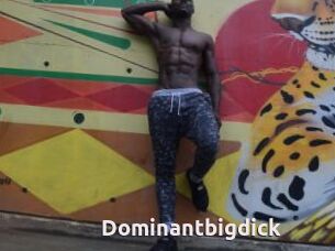 Dominantbigdick