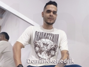 Dominickenedrik