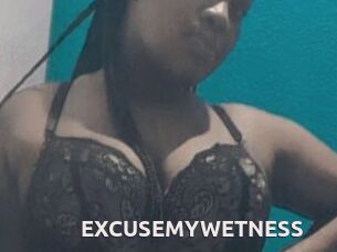 EXCUSEMYWETNESS