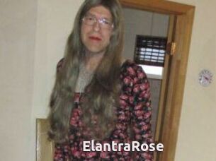 Elantra_Rose
