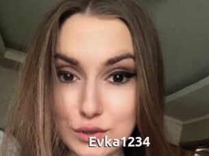 Evka1234