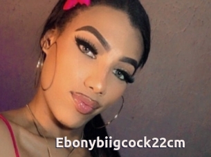 Ebonybiigcock22cm