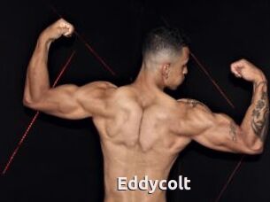 Eddycolt