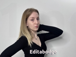 Editabodge