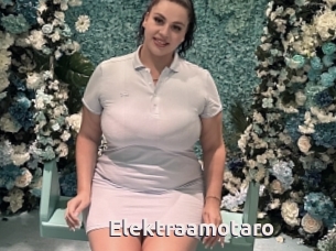 Elektraamotaro