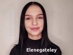 Elenegateley