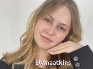 Elvinaatkins