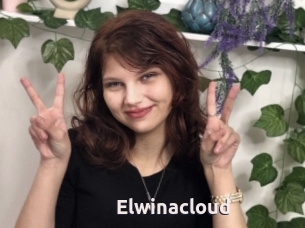 Elwinacloud